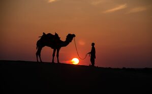 Royal Jaisalmer Desert Escape✨ - Winja Travel
